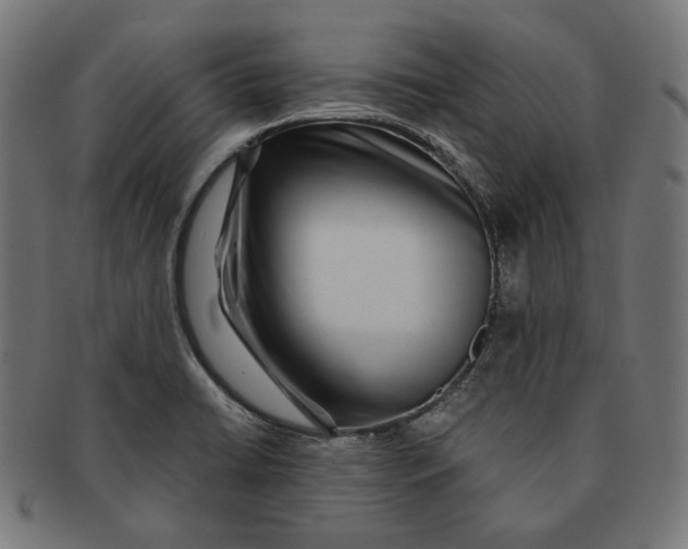 X0000091181422200709060945