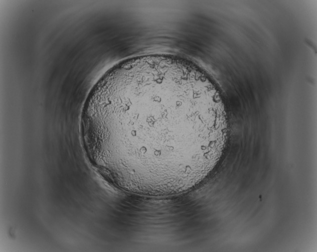 X0000091181423200709060945