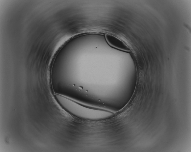 X0000091181424200709060945