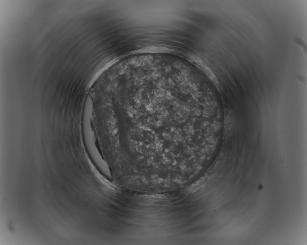 X0000091181425200709060945