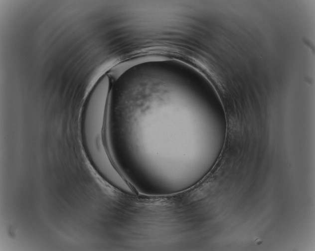 X0000091181426200709060945
