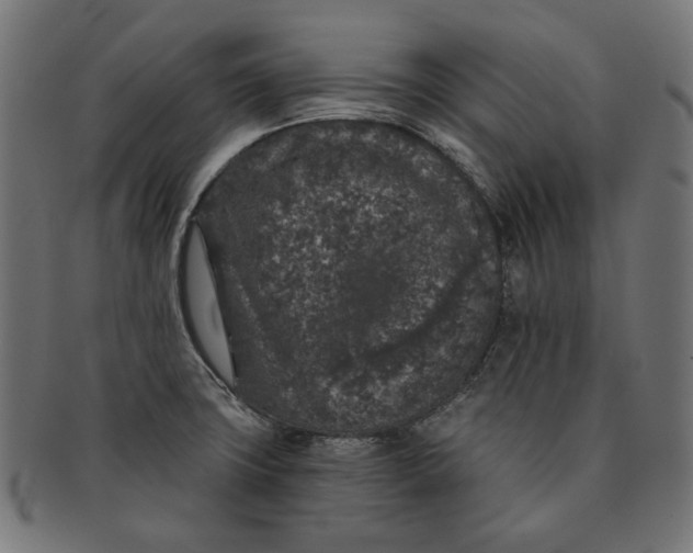 X0000091181427200709060945