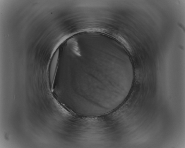 X0000091181428200709060945