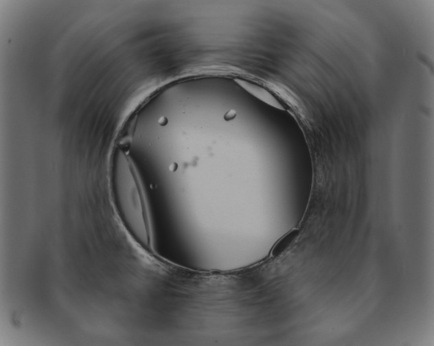 X0000091181430200709060945