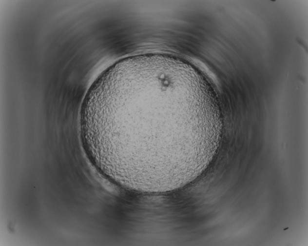 X0000091181431200709060945