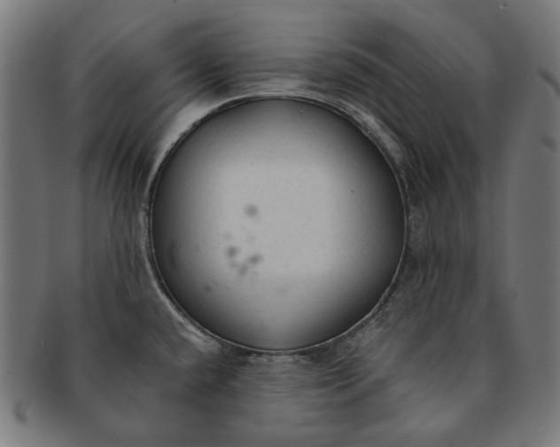 X0000091181432200709060945