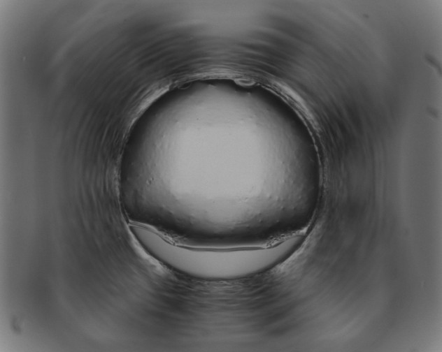 X0000091181433200709060945