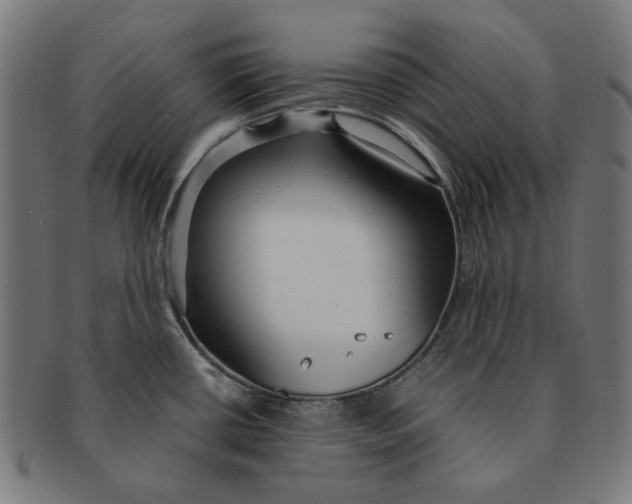 X0000091181434200709060945