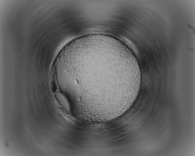 X0000091181435200709060945