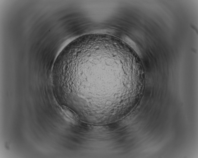X0000091181436200709060945