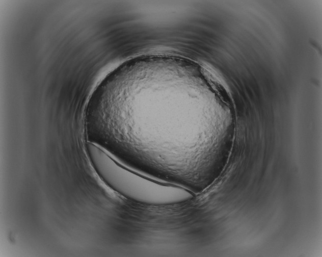 X0000091181437200709060945