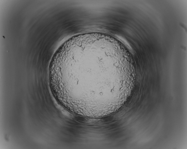 X0000091181439200709060945