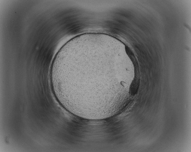 X0000091181440200709060945