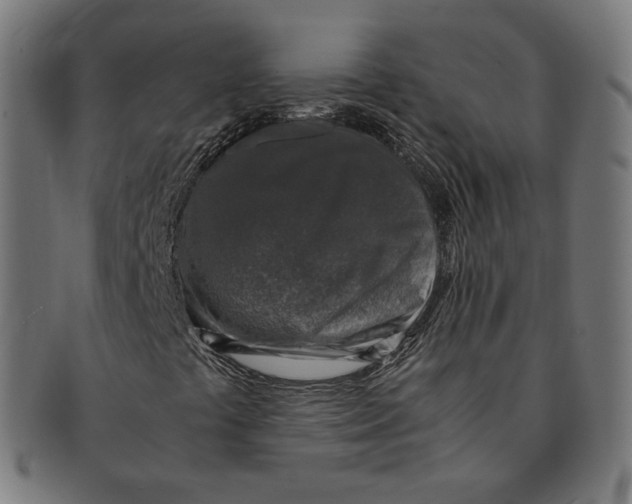 X0000091181441200709060944