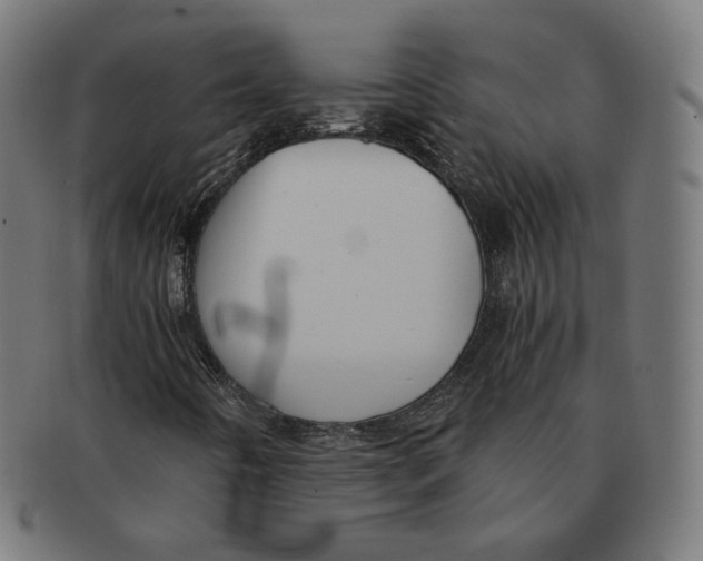 X0000091181442200709060944