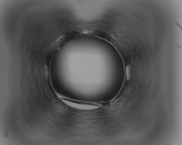 X0000091181443200709060944