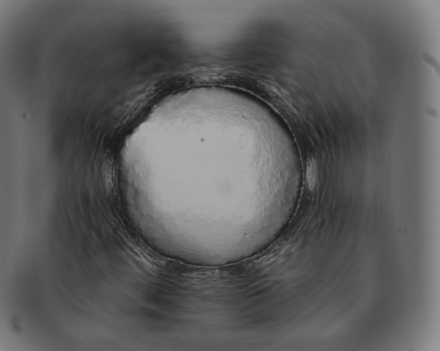 X0000091181444200709060944