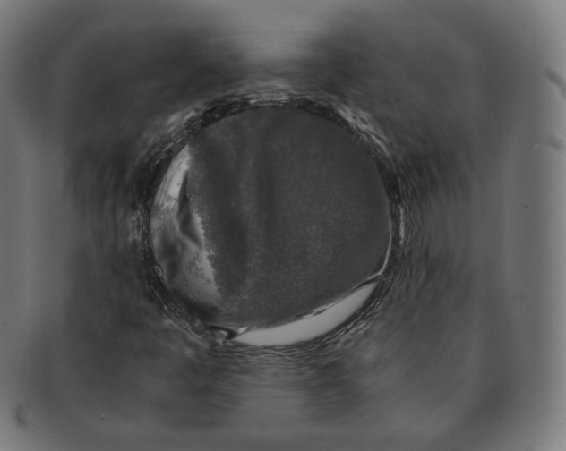 X0000091181445200709060944