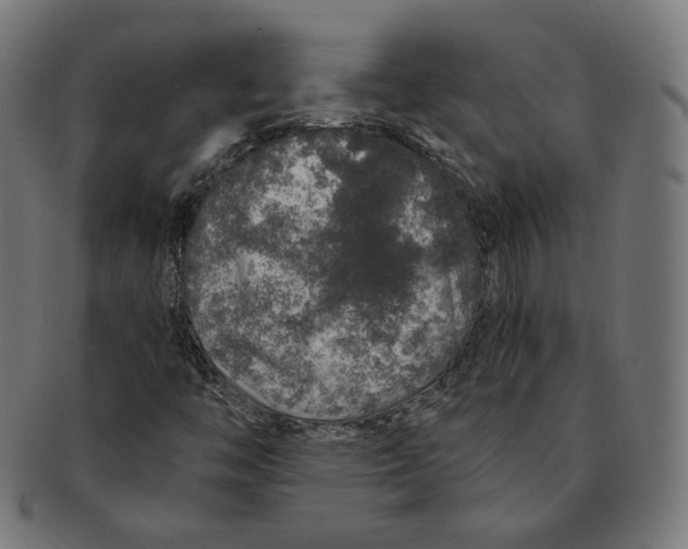 X0000091181446200709060944