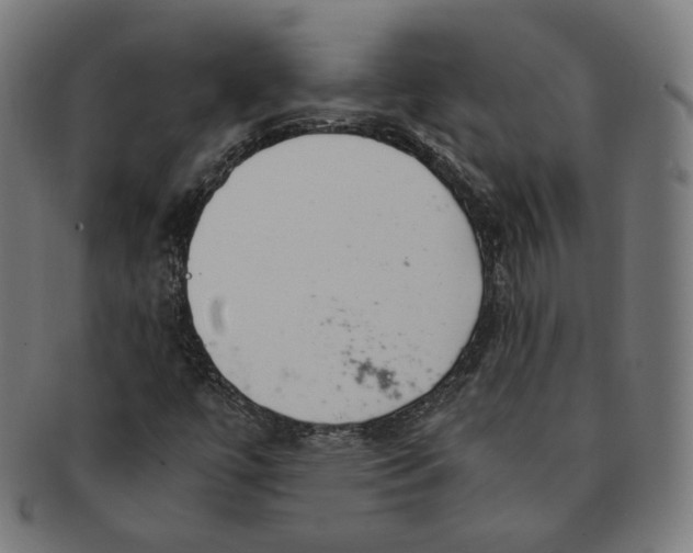 X0000091181447200709060944