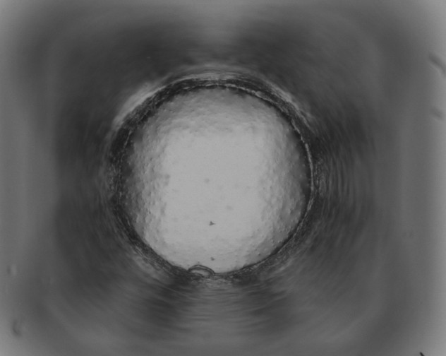 X0000091181448200709060944