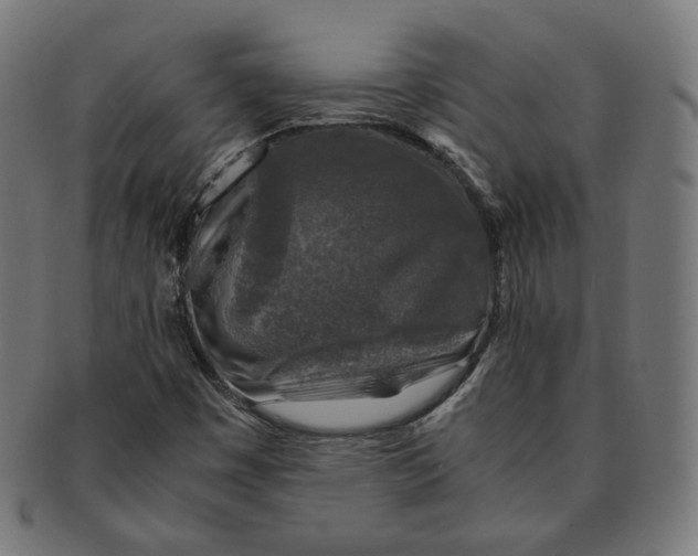X0000091181449200709060944