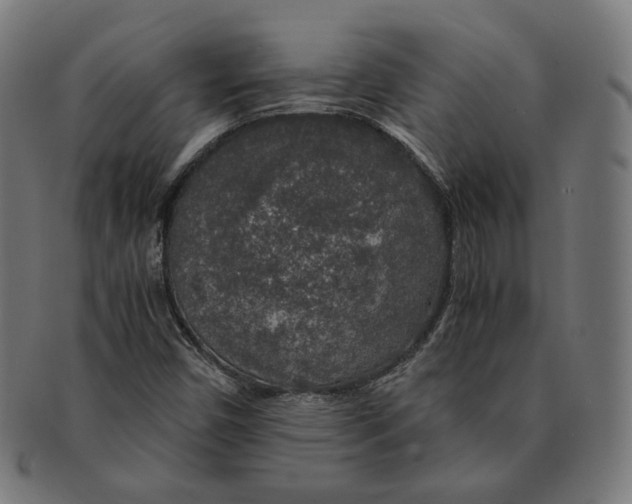 X0000091181450200709060944