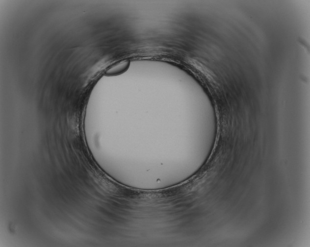 X0000091181451200709060944