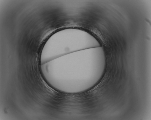 X0000091181452200709060944