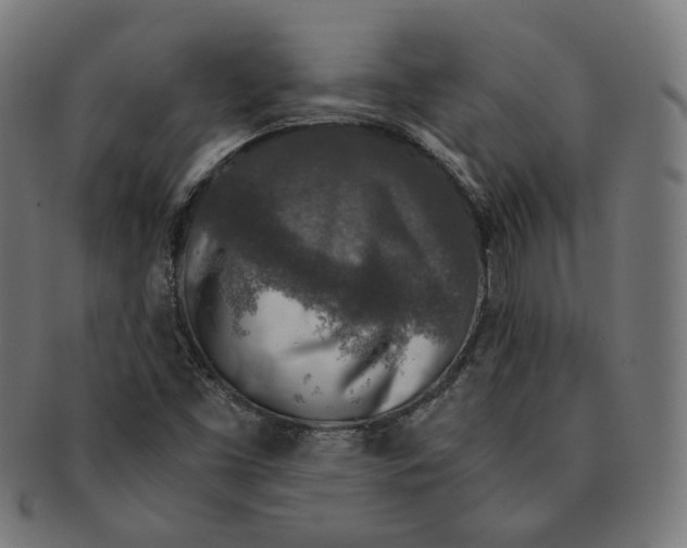 X0000091181453200709060944