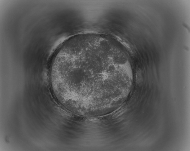 X0000091181454200709060944