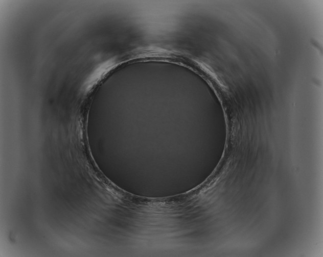 X0000091181455200709060944