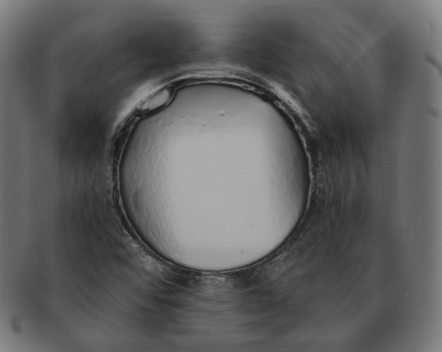 X0000091181456200709060944