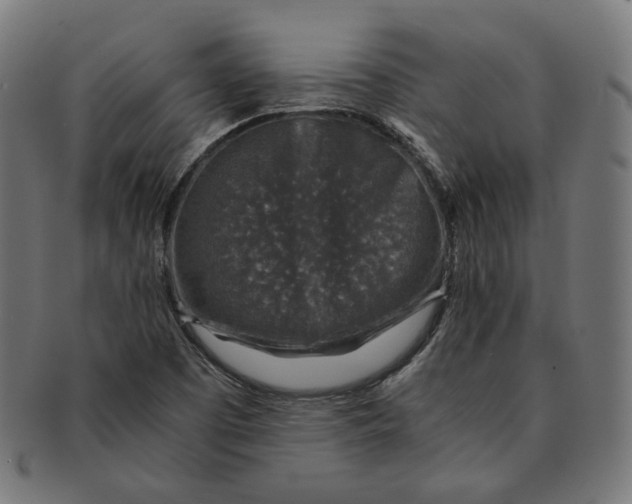X0000091181457200709060944