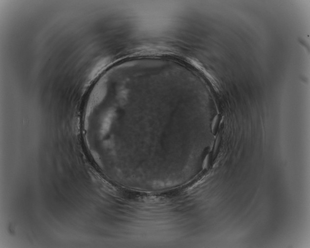 X0000091181459200709060944