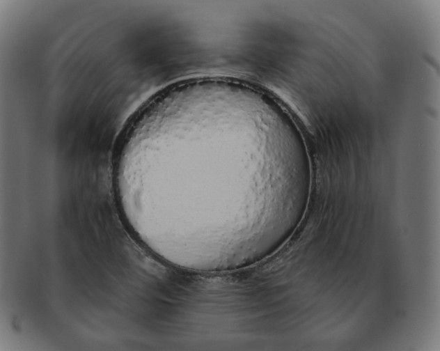 X0000091181460200709060944