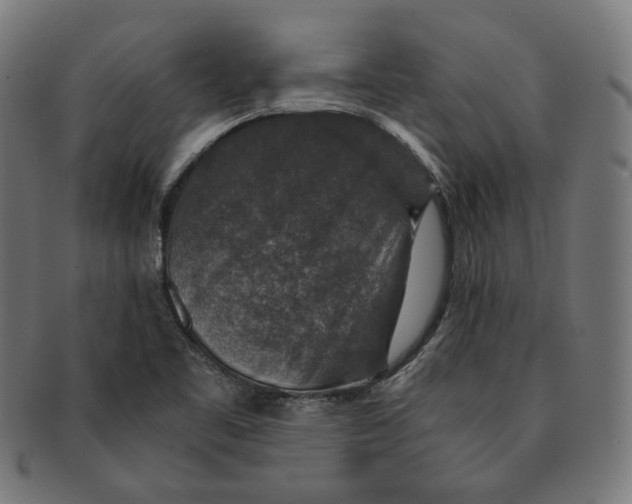 X0000091181461200709060944