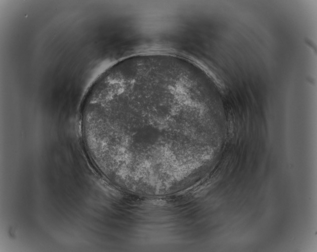 X0000091181462200709060944