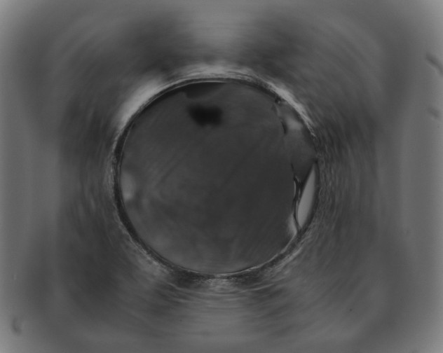 X0000091181463200709060944