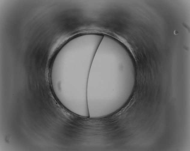 X0000091181464200709060944