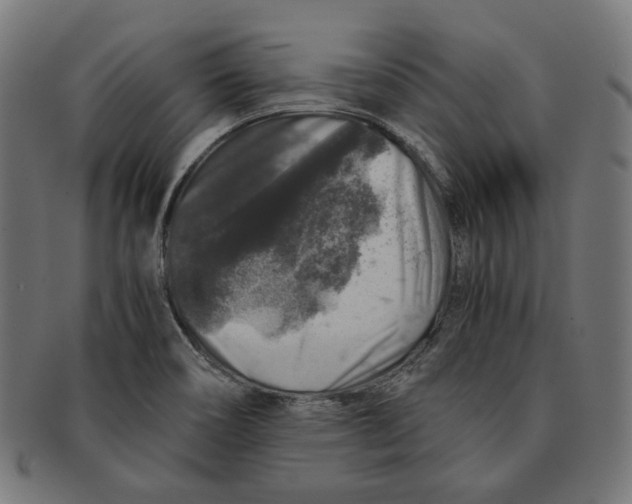 X0000091181466200709060944
