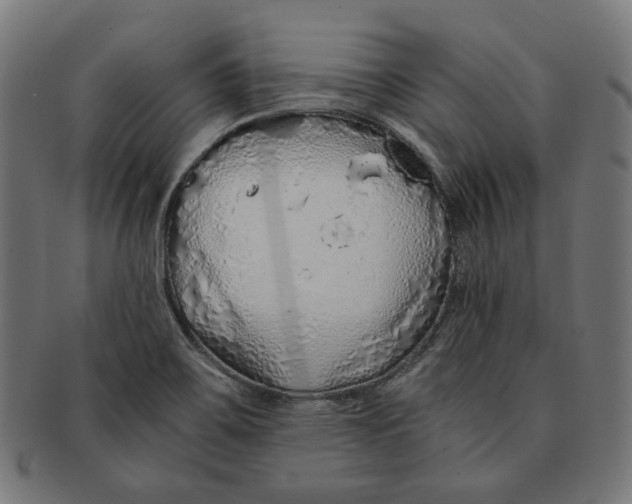 X0000091181467200709060944