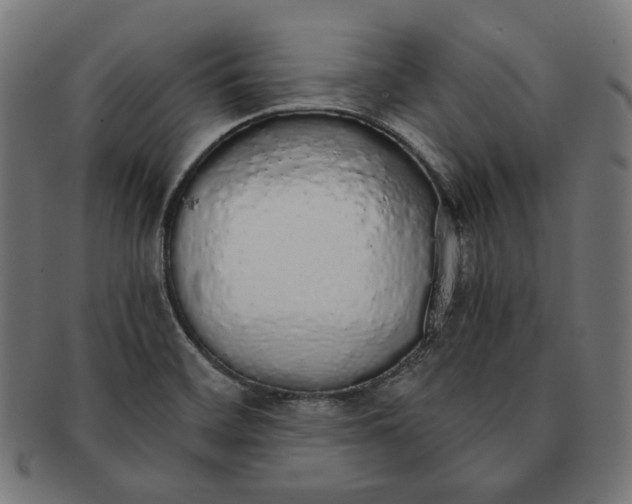 X0000091181468200709060944