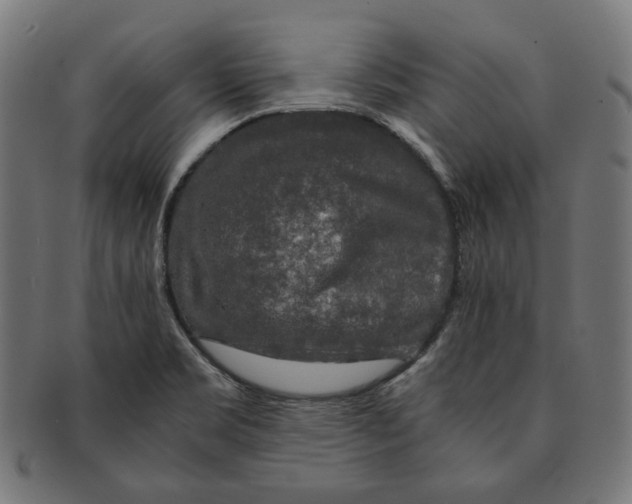 X0000091181469200709060944
