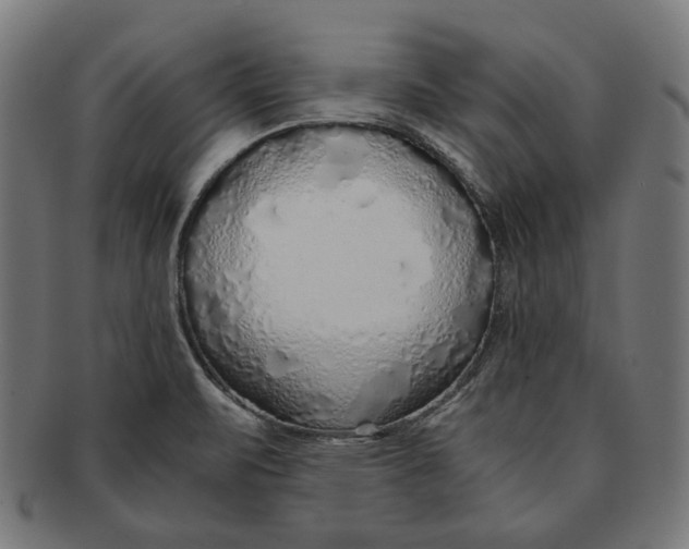 X0000091181471200709060944