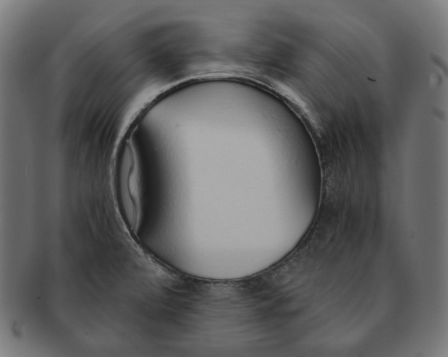 X0000091181472200709060944