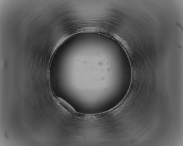 X0000091181473200709060944