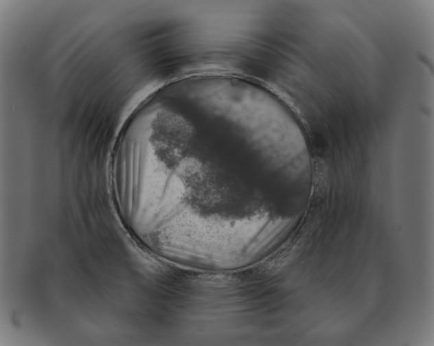 X0000091181474200709060944