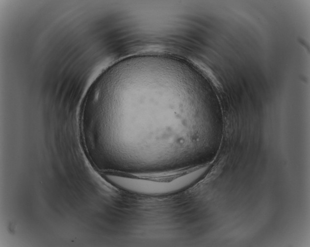 X0000091181475200709060944