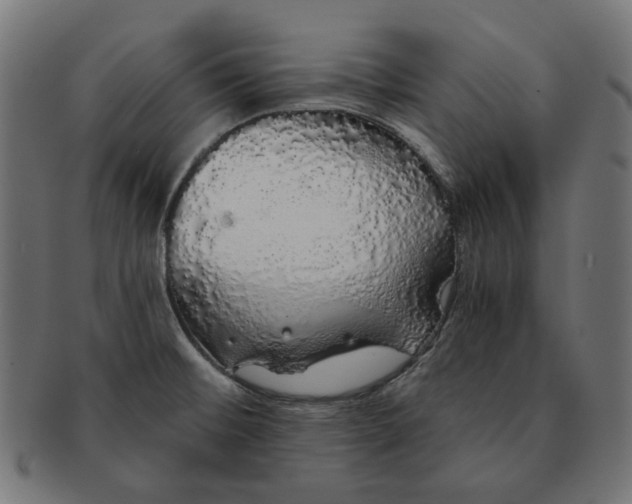 X0000091181476200709060944
